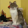 Отзыв от Ирина Зыкова